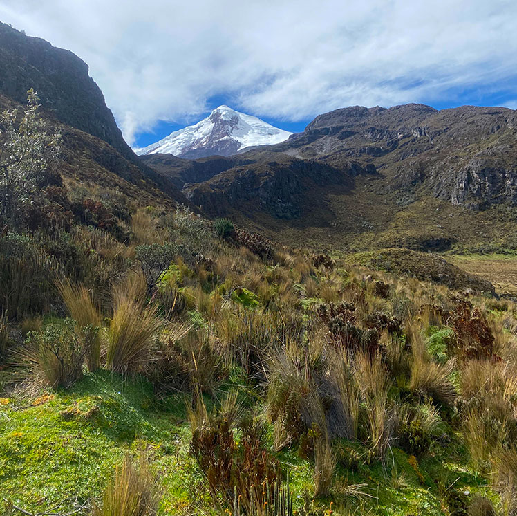 Hikes and Summits near Cayambe